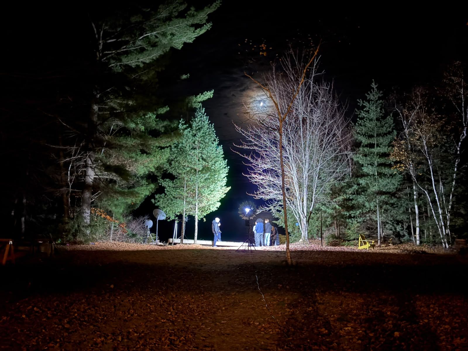 Lights, tripods and a very patient forest
