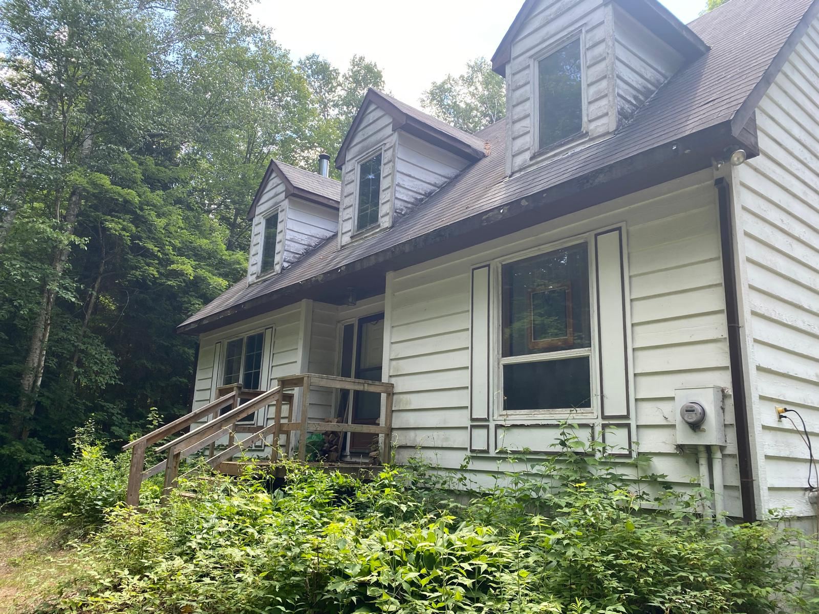 The front of a weathered white lakehouse with dormer windows, half hidden by overgrown plants