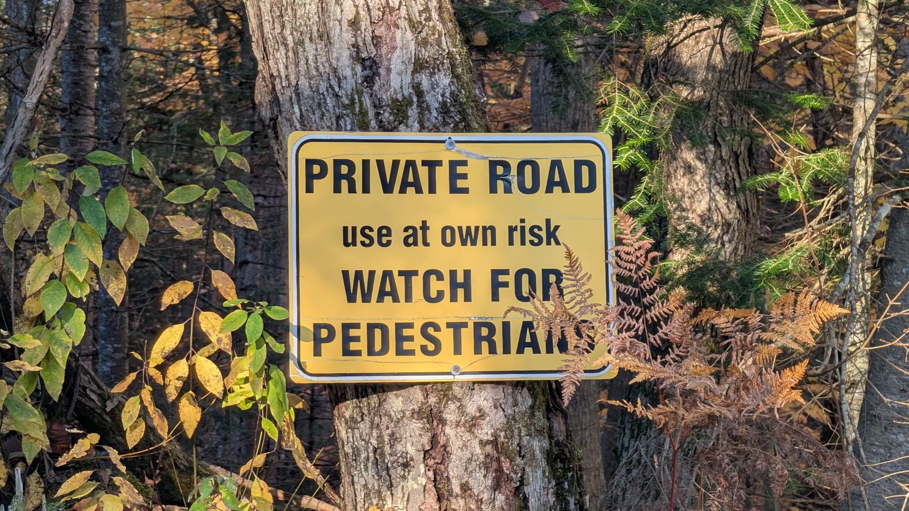 A yellow sign on a tree: Private road, use at own risk, watch for pedestrians